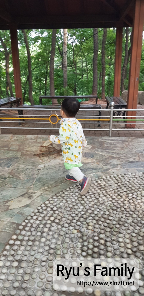 KakaoTalk_20190610_000216224.jpg